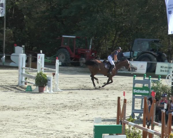 Reitturnier Bad Rothenfelde 2016
