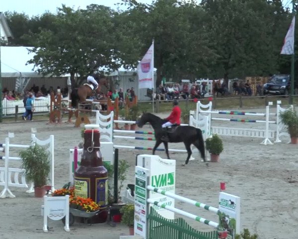 Reitturnier Bad Rothenfelde 2016