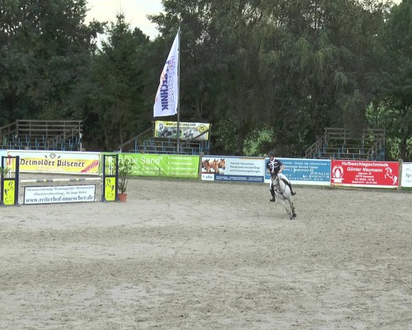 Reitturnier Bad Rothenfelde 2016