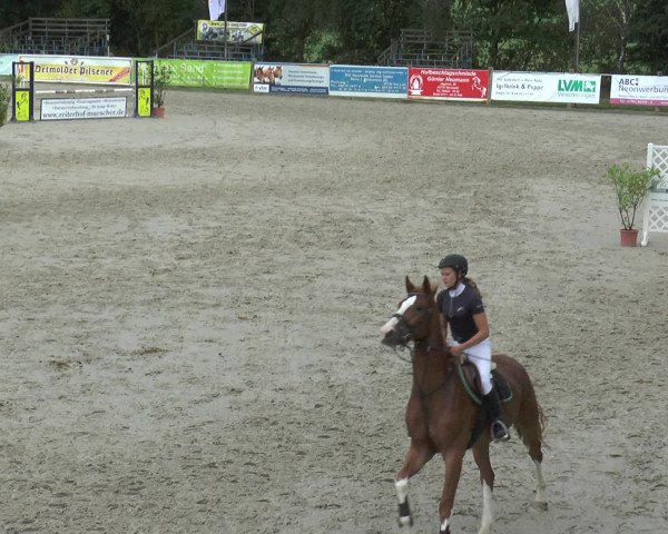 Reitturnier Bad Rothenfelde 2016