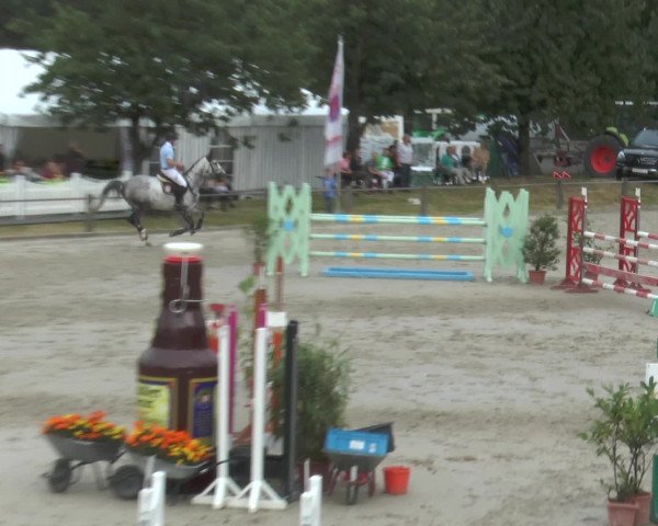 Reitturnier Bad Rothenfelde 2016