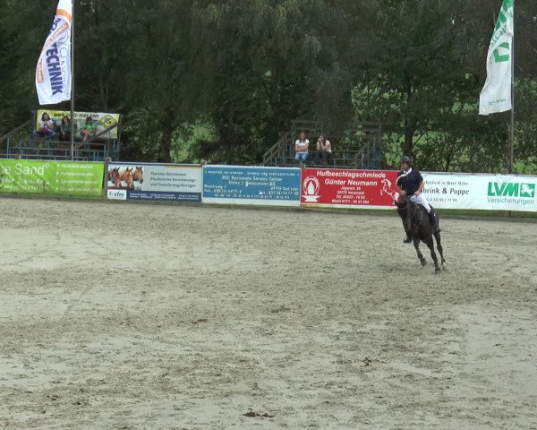 Reitturnier Bad Rothenfelde 2016