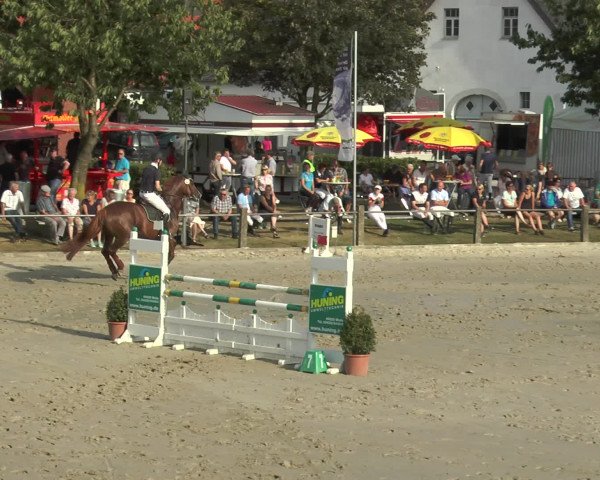 Reitturnier Bad Rothenfelde 2016