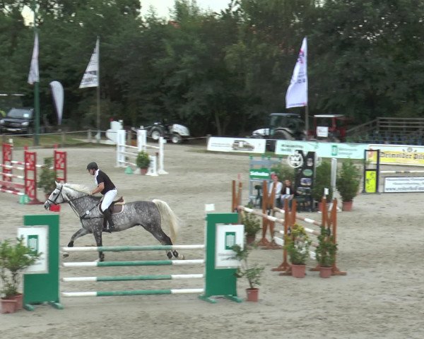 Reitturnier Bad Rothenfelde 2016