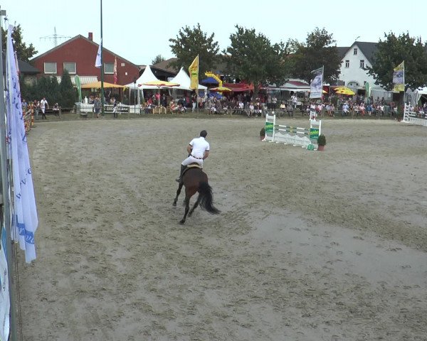 Reitturnier Bad Rothenfelde 2016