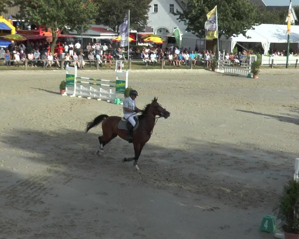 Reitturnier Bad Rothenfelde 2016