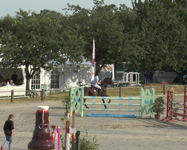 Reitturnier Bad Rothenfelde 2016