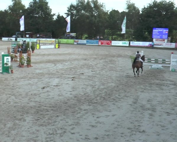 Reitturnier Bad Rothenfelde 2016