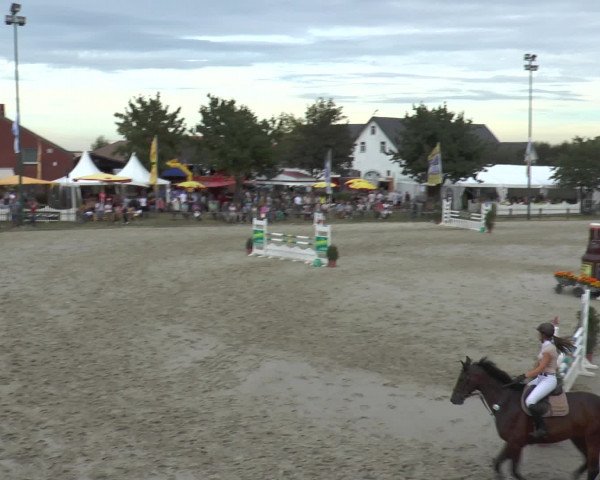 Reitturnier Bad Rothenfelde 2016
