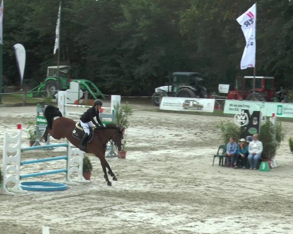 Reitturnier Bad Rothenfelde 2016