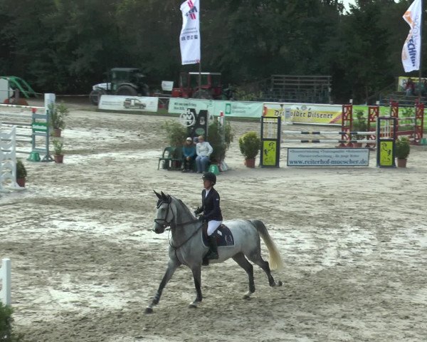 Reitturnier Bad Rothenfelde 2016