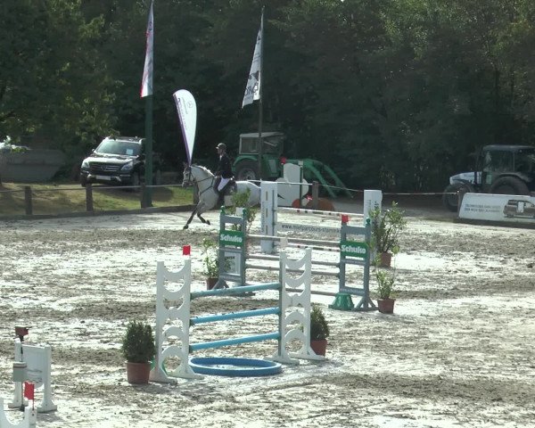 Reitturnier Bad Rothenfelde 2016