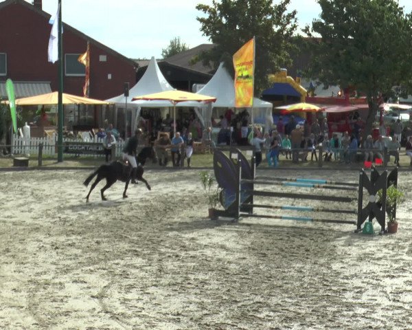 Reitturnier Bad Rothenfelde 2016