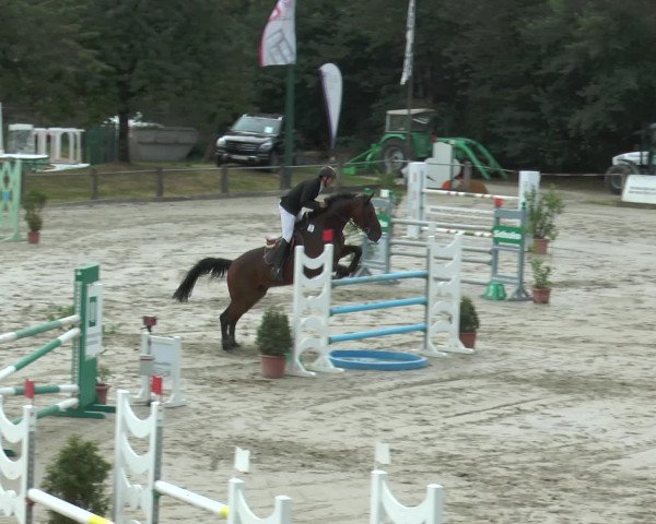 Reitturnier Bad Rothenfelde 2016