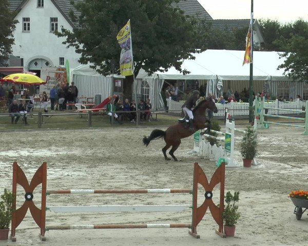 Reitturnier Bad Rothenfelde 2016