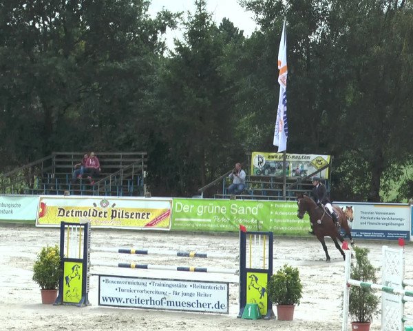 Reitturnier Bad Rothenfelde 2016