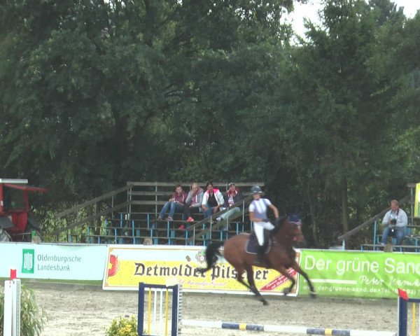 Reitturnier Bad Rothenfelde 2016