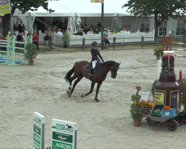 Reitturnier Bad Rothenfelde 2016