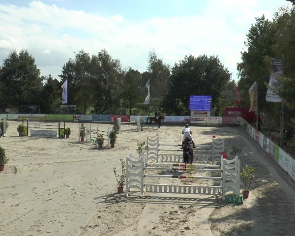 Reitturnier Bad Rothenfelde 2016