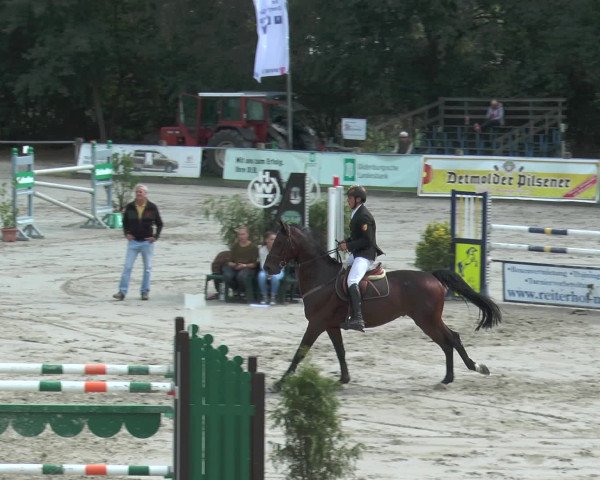 Reitturnier Bad Rothenfelde 2016