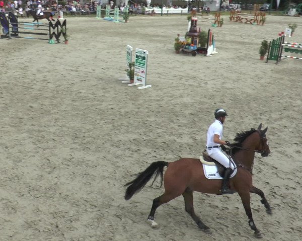 Reitturnier Bad Rothenfelde 2016