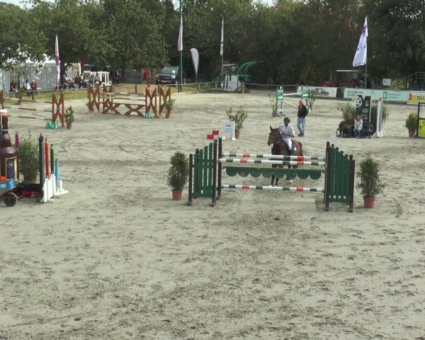 Reitturnier Bad Rothenfelde 2016
