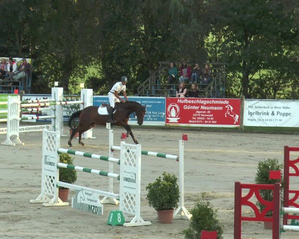 Reitturnier Bad Rothenfelde 2016