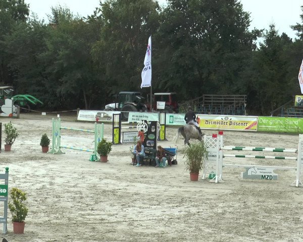 Reitturnier Bad Rothenfelde 2016