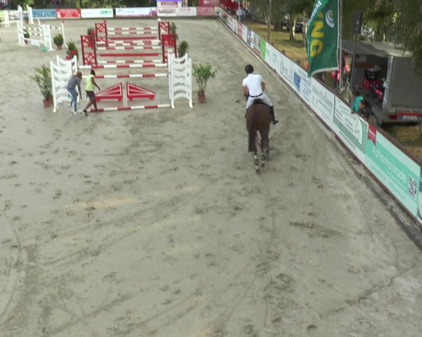 Reitturnier Bad Rothenfelde 2016