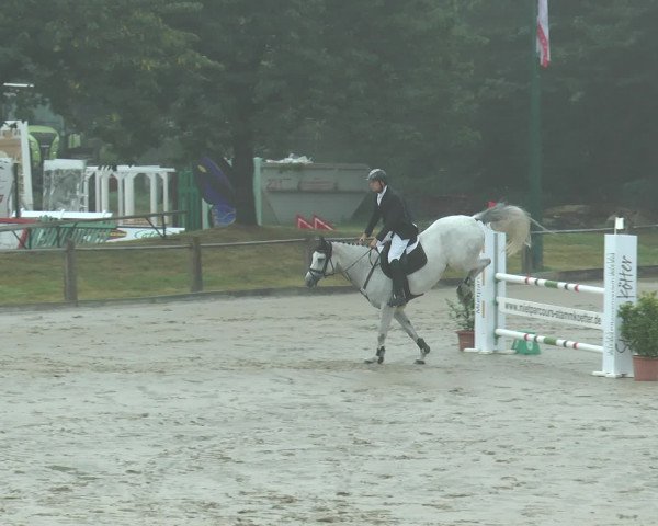 Reitturnier Bad Rothenfelde 2016