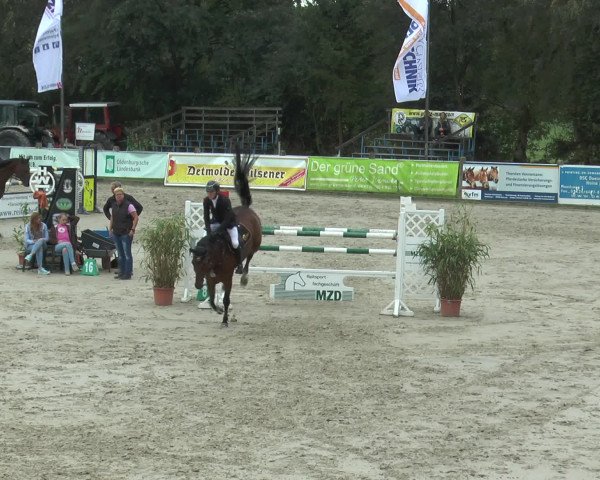 Reitturnier Bad Rothenfelde 2016