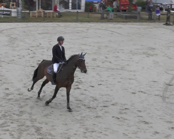 Reitturnier Bad Rothenfelde 2016