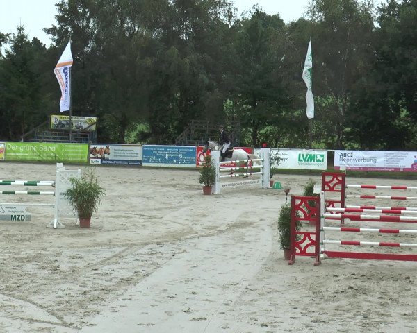 Reitturnier Bad Rothenfelde 2016