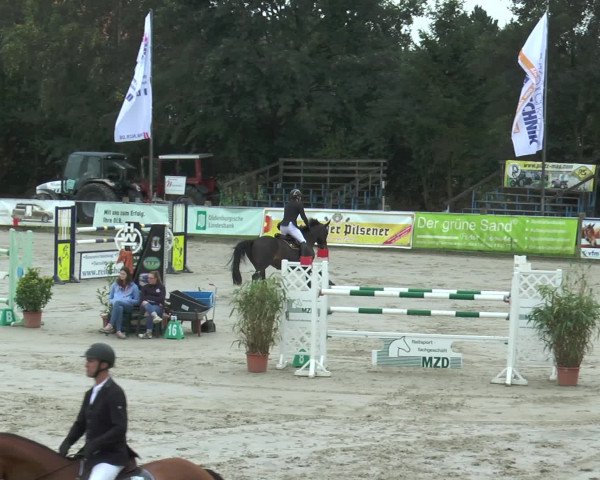 Reitturnier Bad Rothenfelde 2016