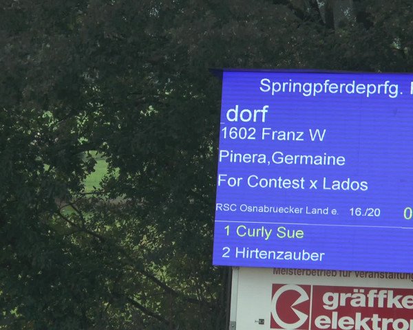 Reitturnier Bad Rothenfelde 2016
