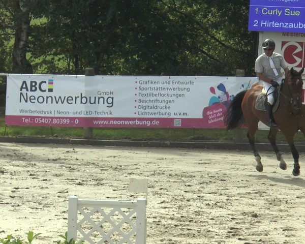 Reitturnier Bad Rothenfelde 2016