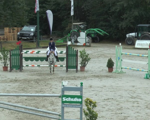 Reitturnier Bad Rothenfelde 2016