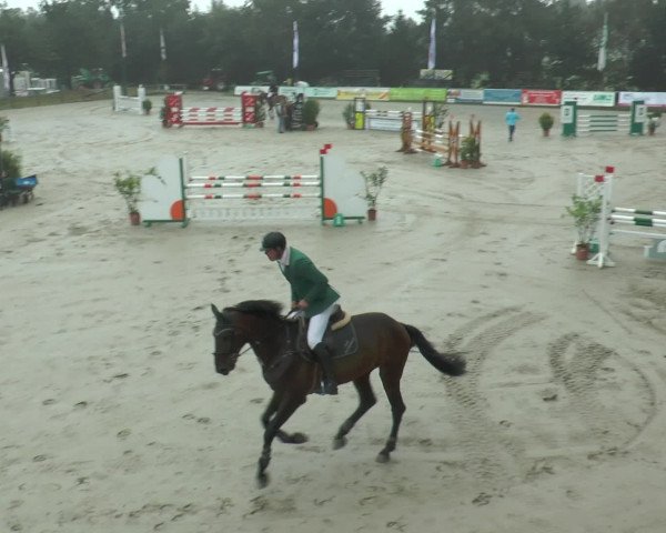 Reitturnier Bad Rothenfelde 2016