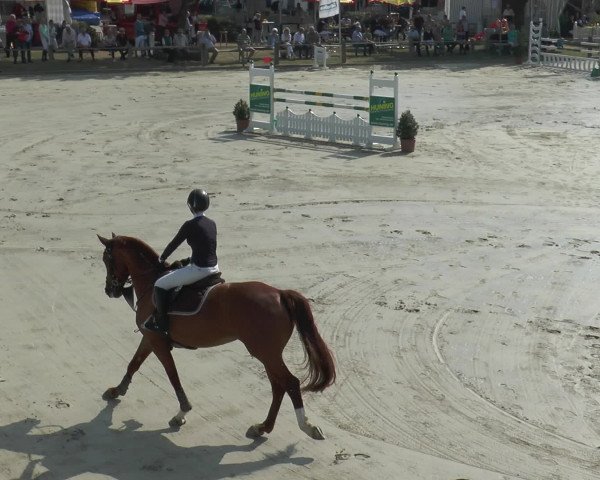 Reitturnier Bad Rothenfelde 2016