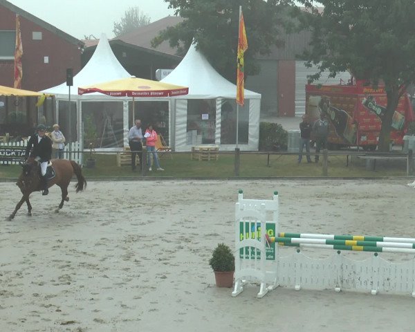 Reitturnier Bad Rothenfelde 2016