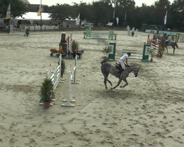Reitturnier Bad Rothenfelde 2016
