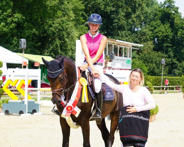 Springpferd Diacor H (Westfale, 2015, von Diarado)