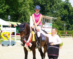Springpferd Diacor H (Westfale, 2015, von Diarado)