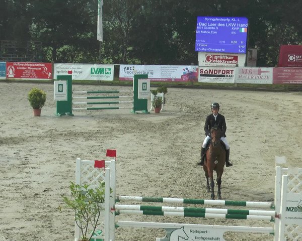Reitturnier Bad Rothenfelde 2016