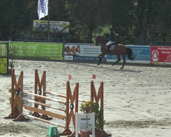 Reitturnier Bad Rothenfelde 2016