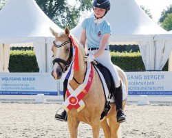 broodmare Golden Diamond W (German Riding Pony, 2013, from HET Golden Dream)
