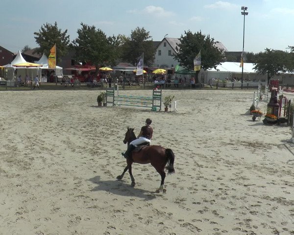 Reitturnier Bad Rothenfelde 2016