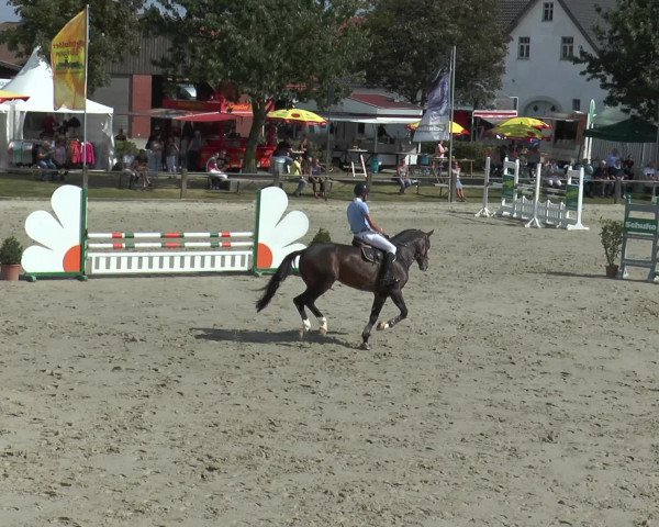 Reitturnier Bad Rothenfelde 2016