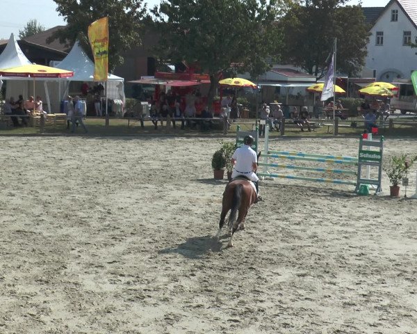 Reitturnier Bad Rothenfelde 2016