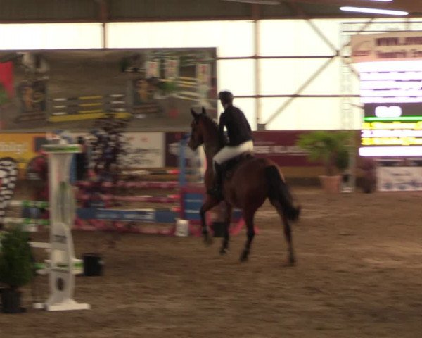 Große Jumping-Trophy Pausin 2021